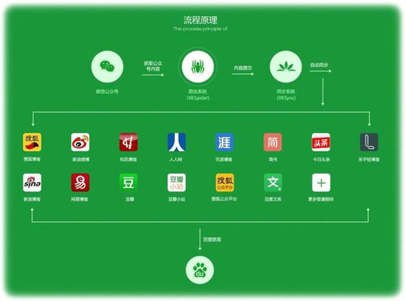 如何高效地进行活动策划与执行